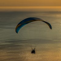 Paraglider, Gleitschirm über dem Meer bei Sonnenuntergang,, Kapstadt, Provinz Western Cape,  Südafrika, RSA, Afrika | Parglider over sea while sunset, Capetown, Province Western Cape, South Africa, RSA, Afrika
