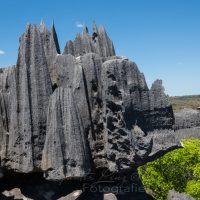 Felsnadeln, Karstlandschaft, Nationalpark Tsingy du Bemaraha, Unesco Weltnaturerbe, Mahajanga, Madagaskar | Tsingy du Bemaraha, Nationalparc, Mahajanga, Madagascar